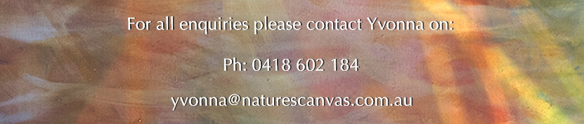 photographic-art-waterlilies