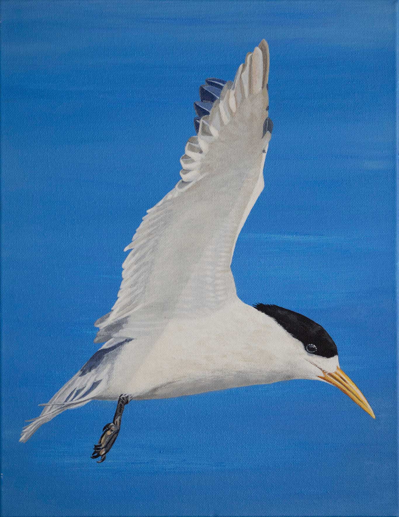 wall-art-brolga